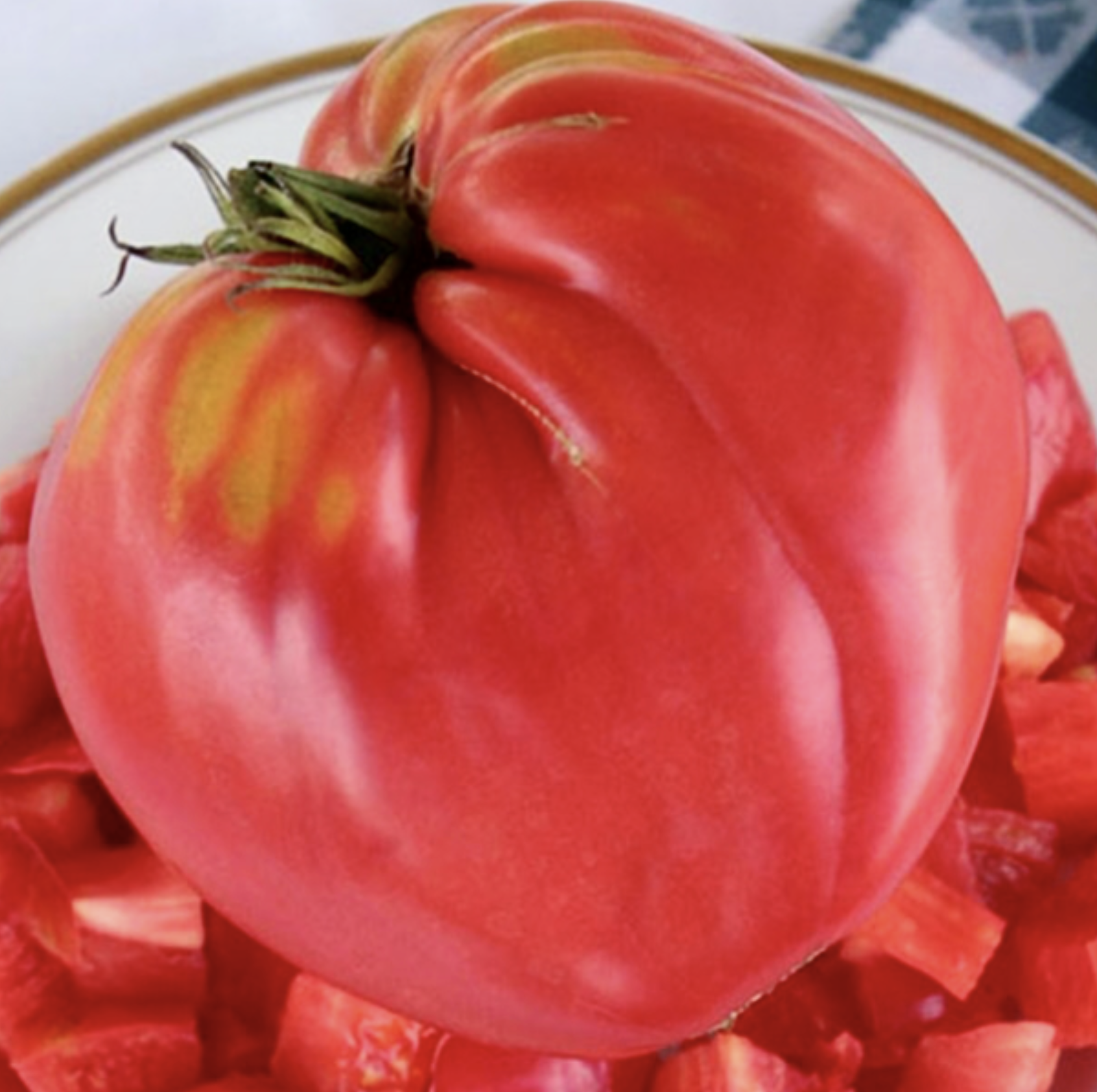 トマトページ Substitutes — Chicago Tomato Man